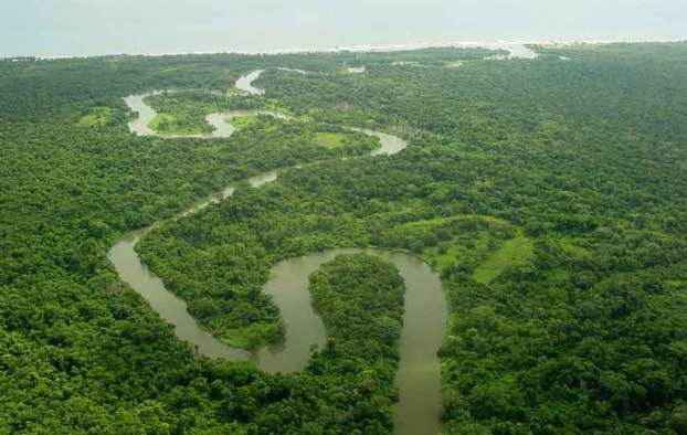 rio-platano-biosphere-forestreserve
