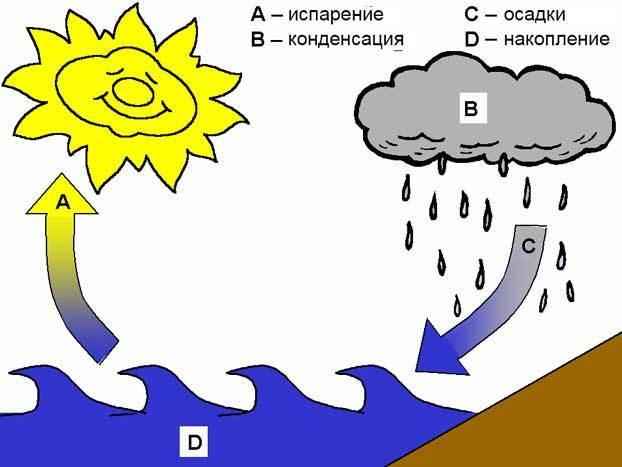 круговорот-воды-в-природе