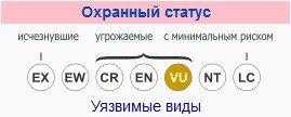 охранный статус львов