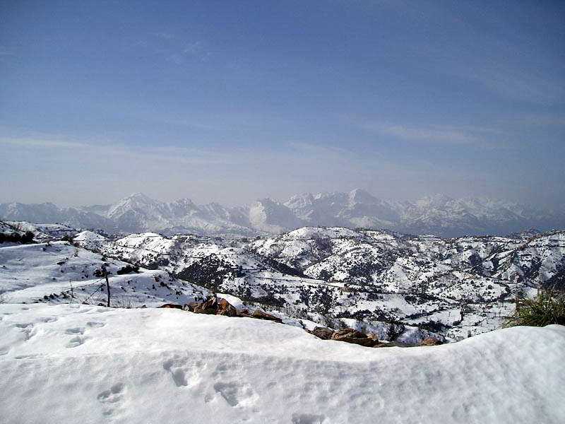 Природа, флора и фауна Алжира — характеристика и фото