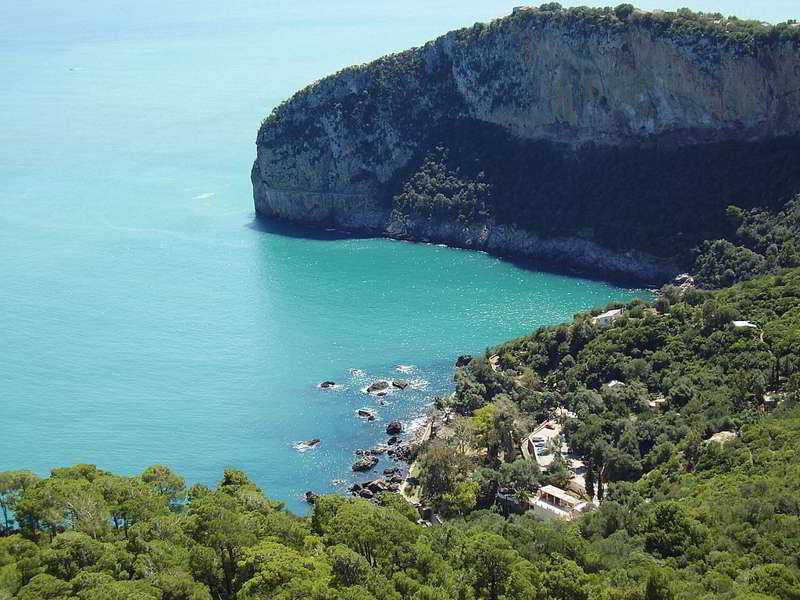 Природа, флора и фауна Алжира — характеристика и фото
