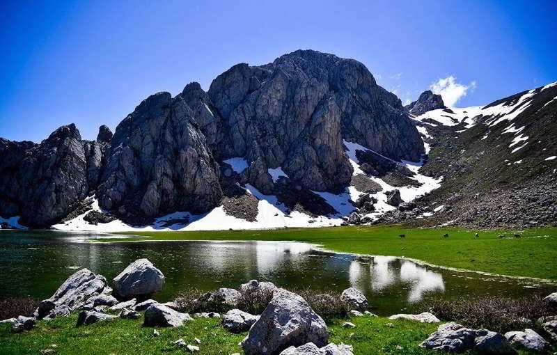 Природа, флора и фауна Алжира — характеристика и фото