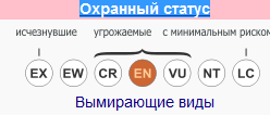 Охранный статус Карликовый бегемот