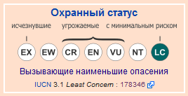 Капский варан, или степной варан-охранный статус