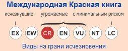 аддакс, антилопа мендес, охранный статус, МСОП