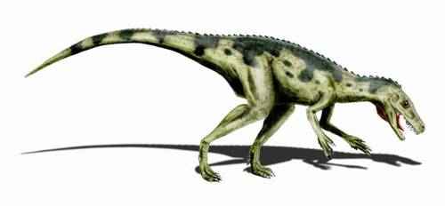 gerrerazavr