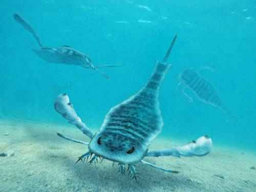 rakoskorpion