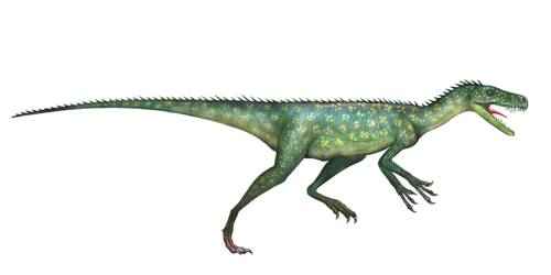 sanhuanzavr