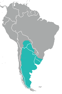 areal-obitaniya-koshki-zhoffrua