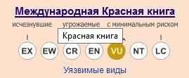 ohrannyj-status-koshki-ontsilla