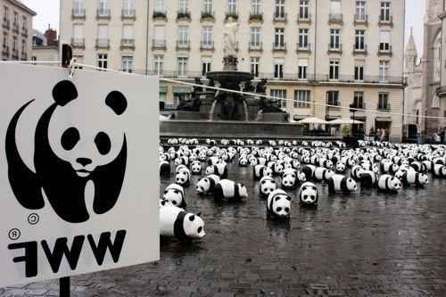wwf