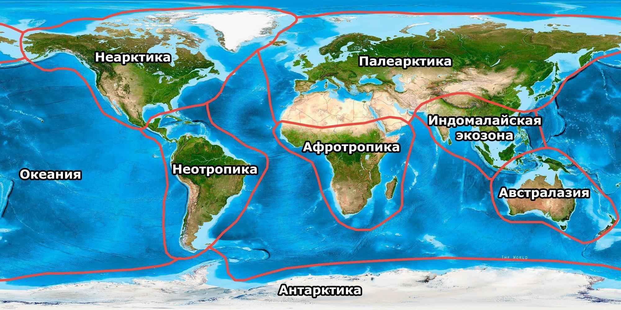 Экозоны, царства или биогеографические зоны Земли Экозоны, царства, биогеографические зоны, мир, планета, Земля, карта, схема, границы, названия, Неарктика, Палеарктика, Афротропика, Индомалайская зона, Австралазия, Неотропики, Океания, Антарктика