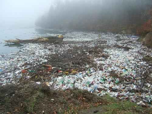Водные ресурсы Земли — что относится, примеры, пользование и защита