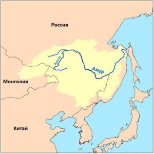 Самые длинные реки России: названия, описание, карты, фото и таблица