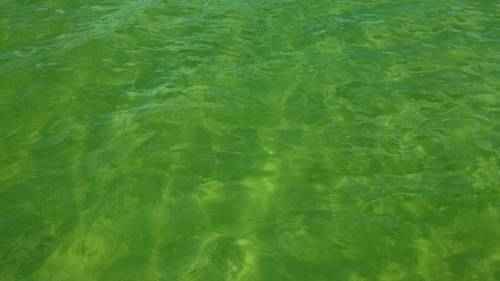 Почему морская вода бывает синего, голубого, зеленого, красного и коричневого цветов?