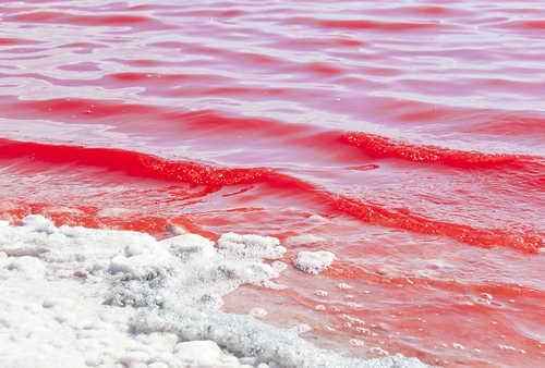 Почему морская вода бывает синего, голубого, зеленого, красного и коричневого цветов?