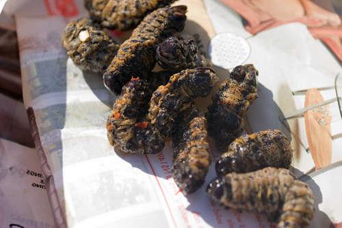 Каких насекомых едят люди?