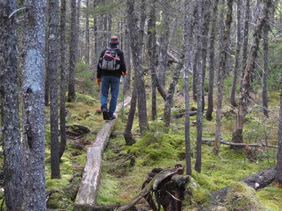 Что такое экотуризм и почему мы заинтересованы в его развитии?