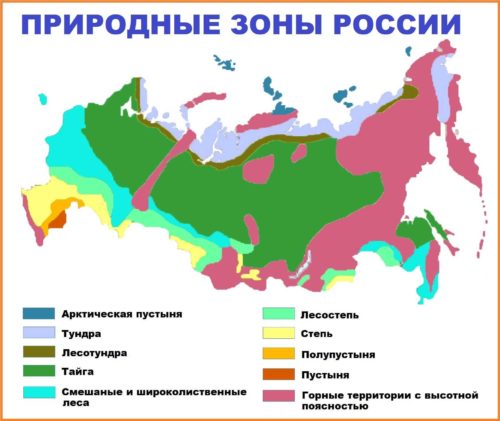 Какая природная зона самая крупная по площади в России?