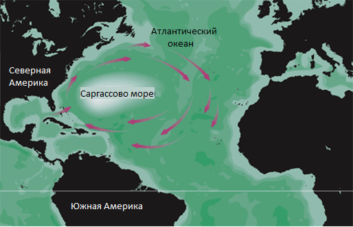 ТОП 10 крупнейших морей мира - названия, карты, фото, описание, животные и растения