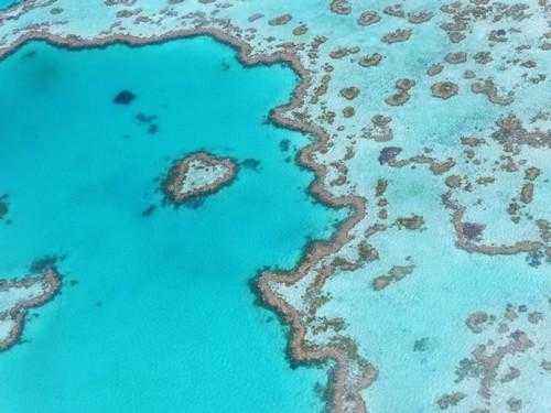 ТОП 10 крупнейших морей мира - названия, карты, фото, описание, животные и растения