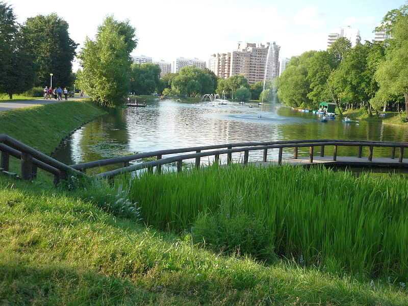 Какие природные условия и ресурсы встречаются на территории России? Краткая характеристика