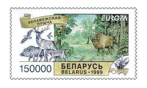 Животный мир Республики Беларусь: особенности, примеры и фото животных