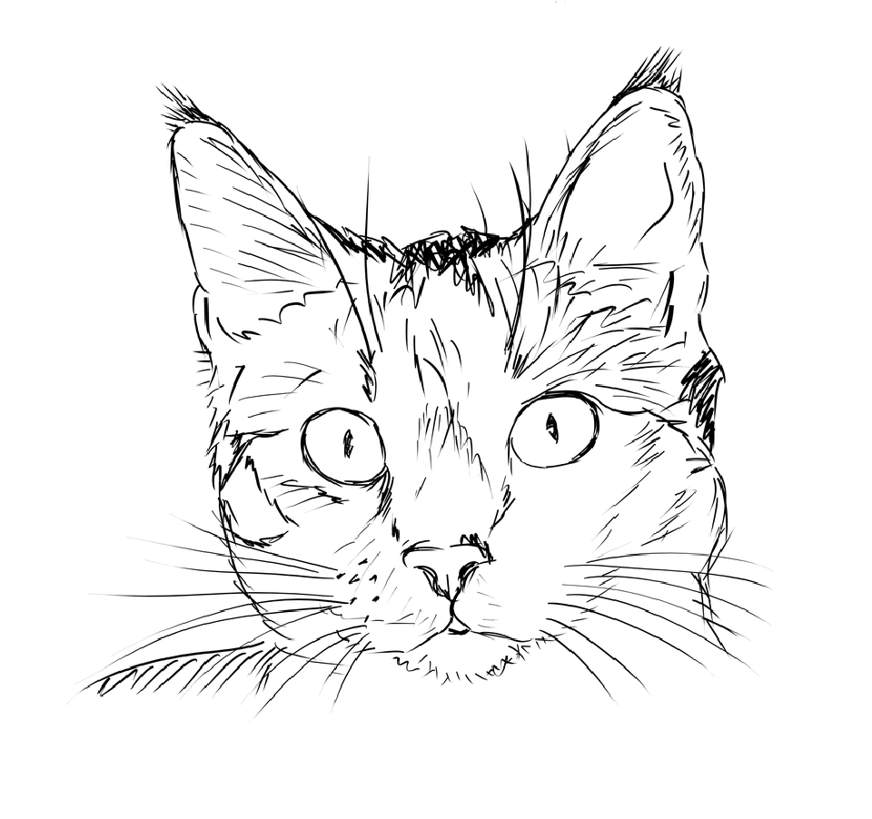 Раскраски кошек и котят для детей