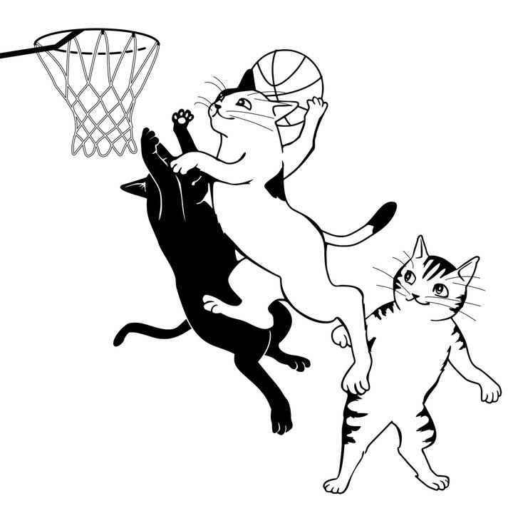 Раскраски кошек и котят для детей