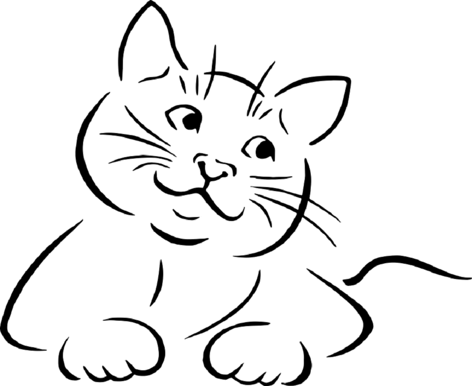 Раскраски кошек и котят для детей