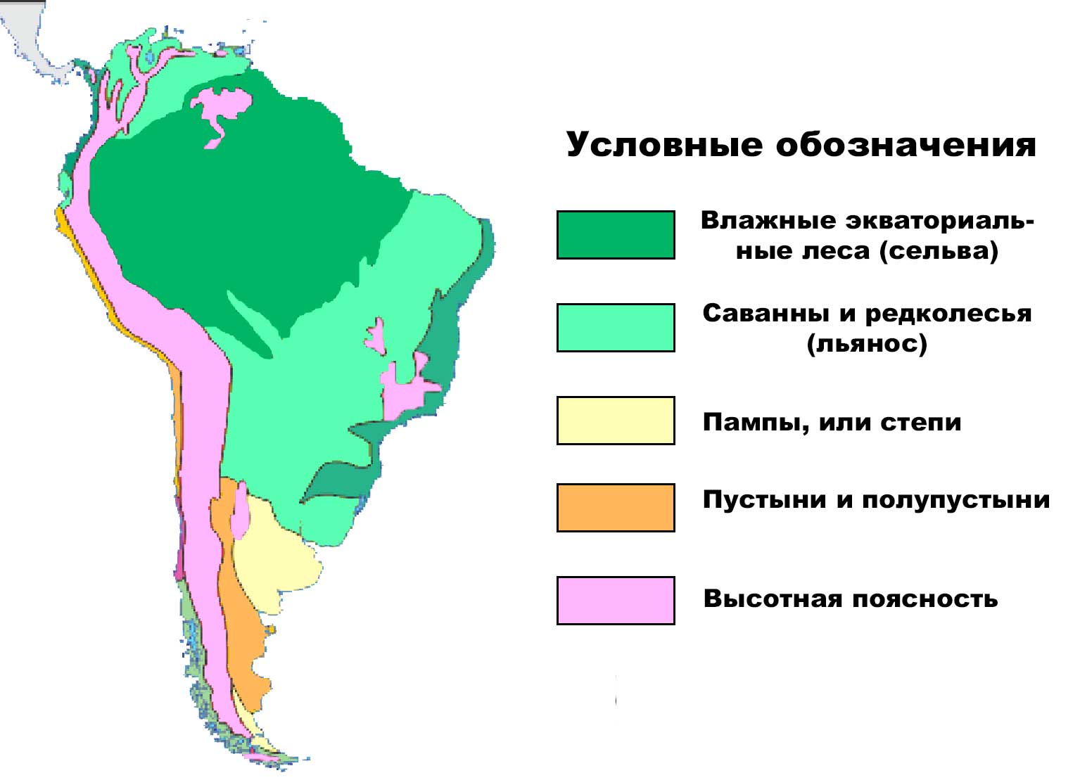 Какие природные зоны есть в Южной Америке — описание, климат, почвы, животные и растения