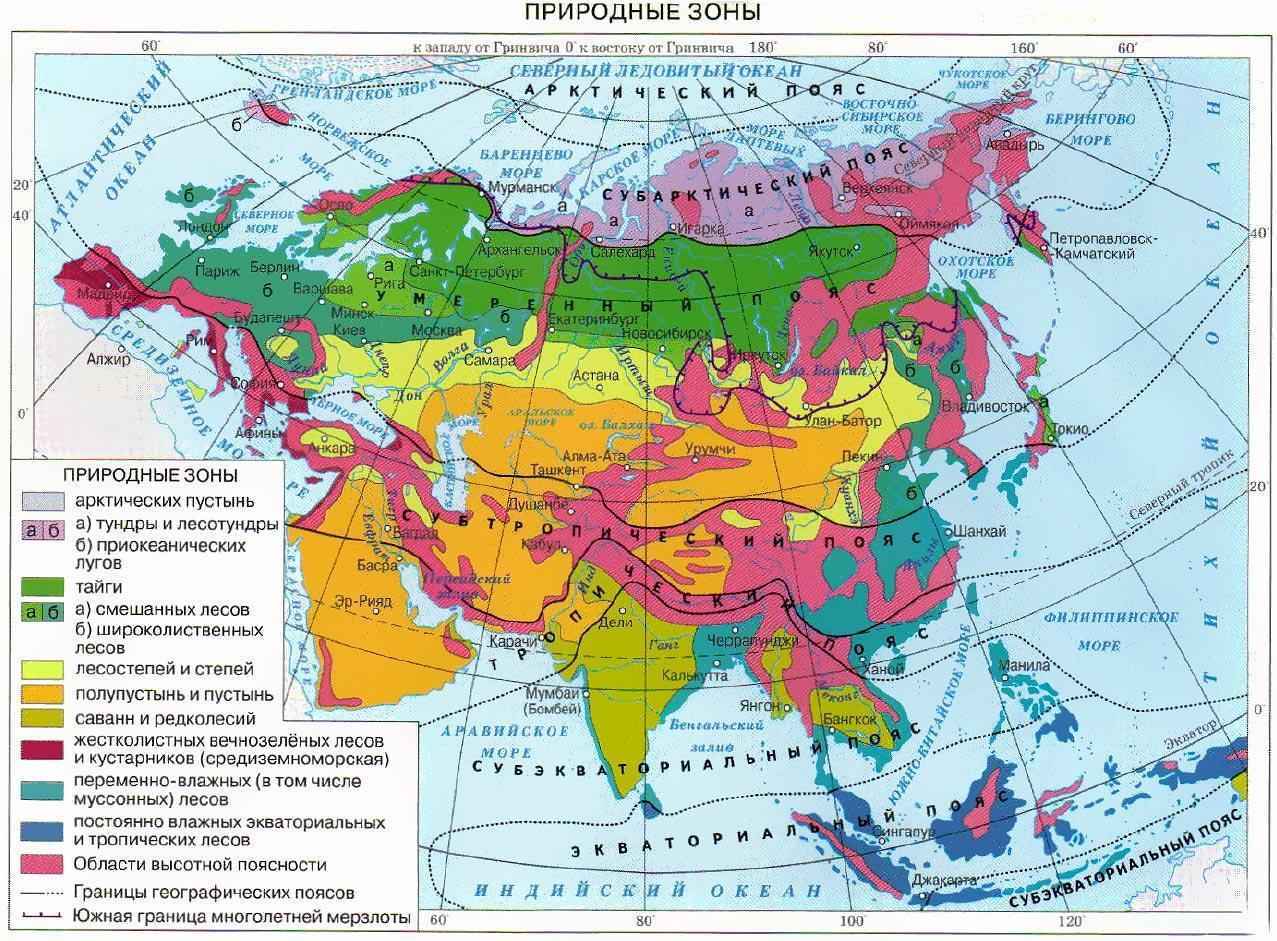 Какие природные зоны есть в Евразии? арта, названия, географическая характеристика и таблица