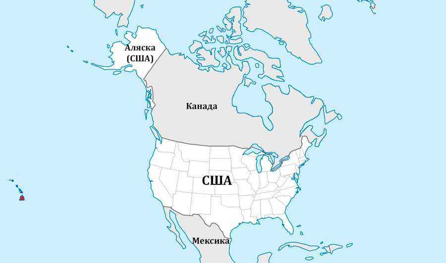 Природа, флора и фауна США — характеристика и фото
