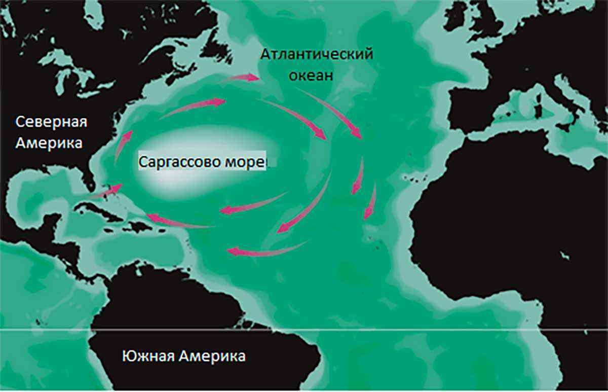 Какое море самое крупное по площади на Земле, в Евразии и России?