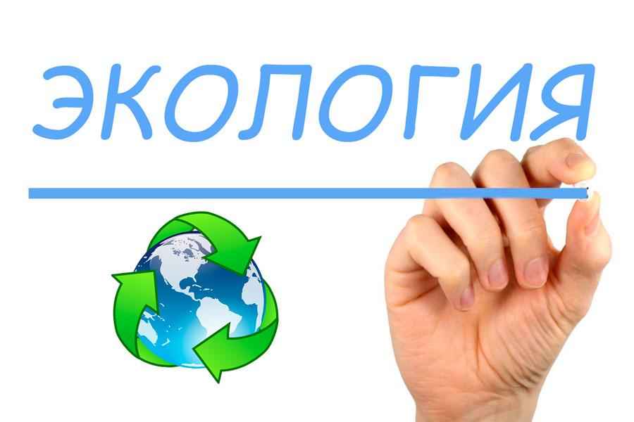 Почему мы часто слышим слово «экология»?