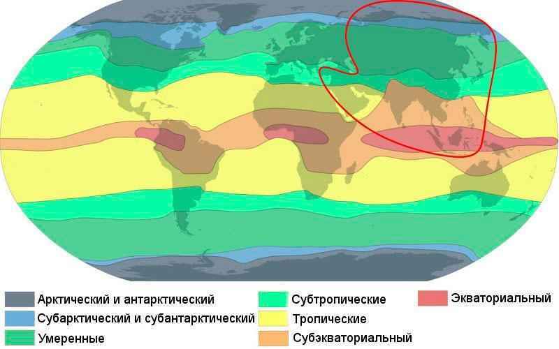 Какой климат в Азии? Описание, типы, карта и таблица