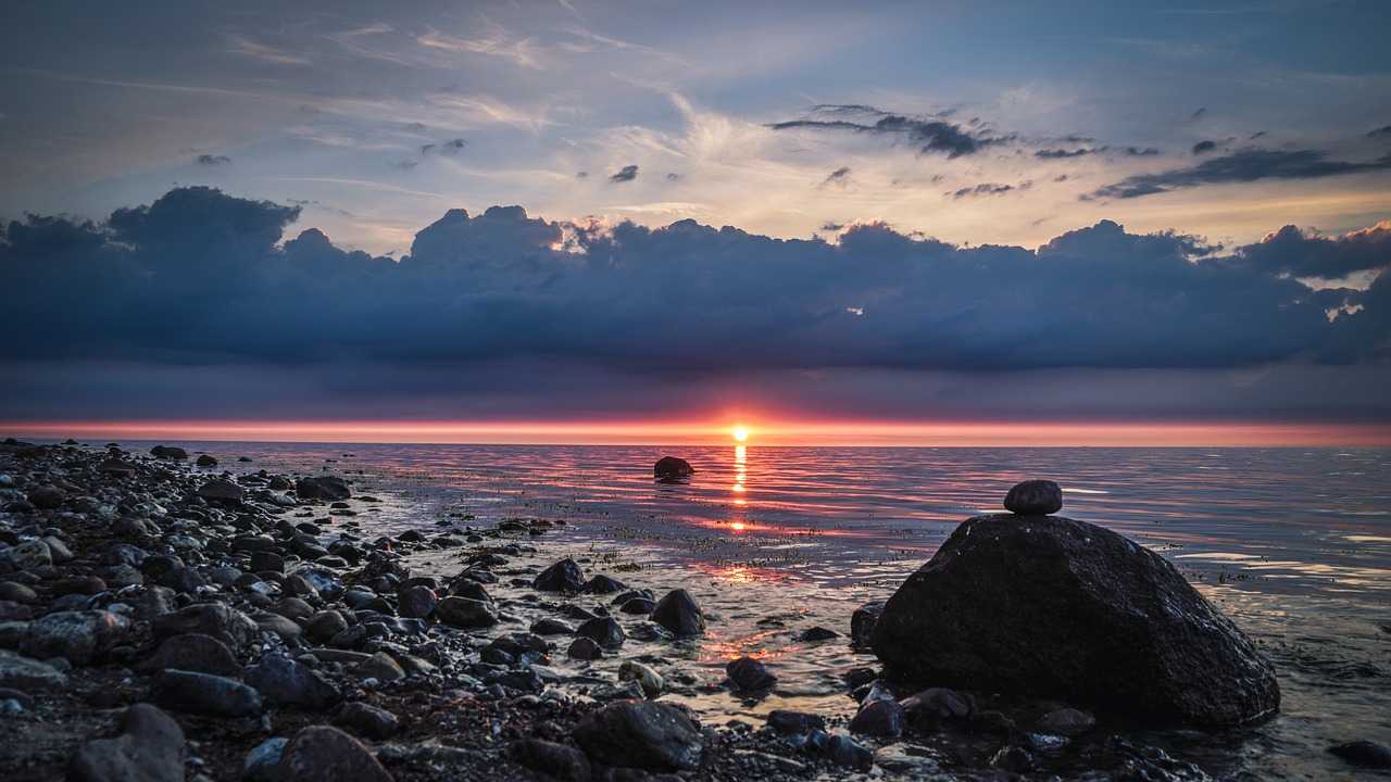 Природа, флора и фауна Германии — характеристика и фото
