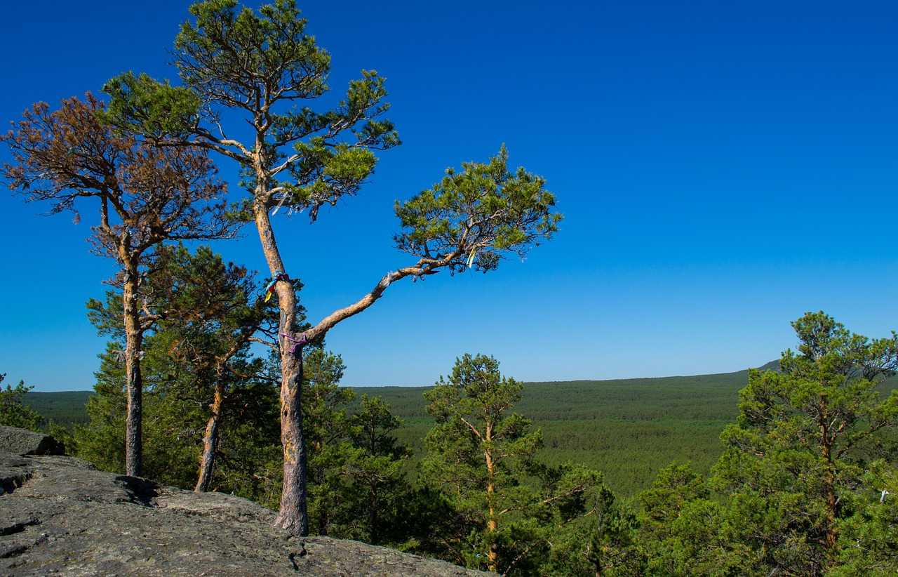 Природа, флора и фауна Казахстана — характеристика и фото