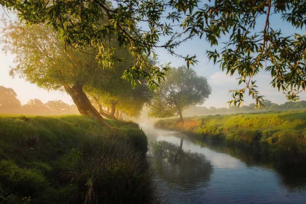 природа, река, ручей, вода, утро, туман, деревья, трава, зелень