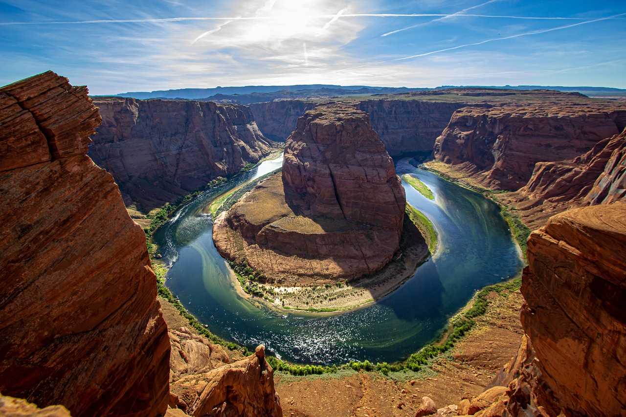 Природа, флора и фауна США — характеристика и фото