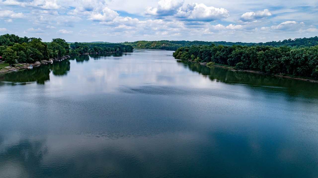 Природа, флора и фауна США — характеристика и фото
