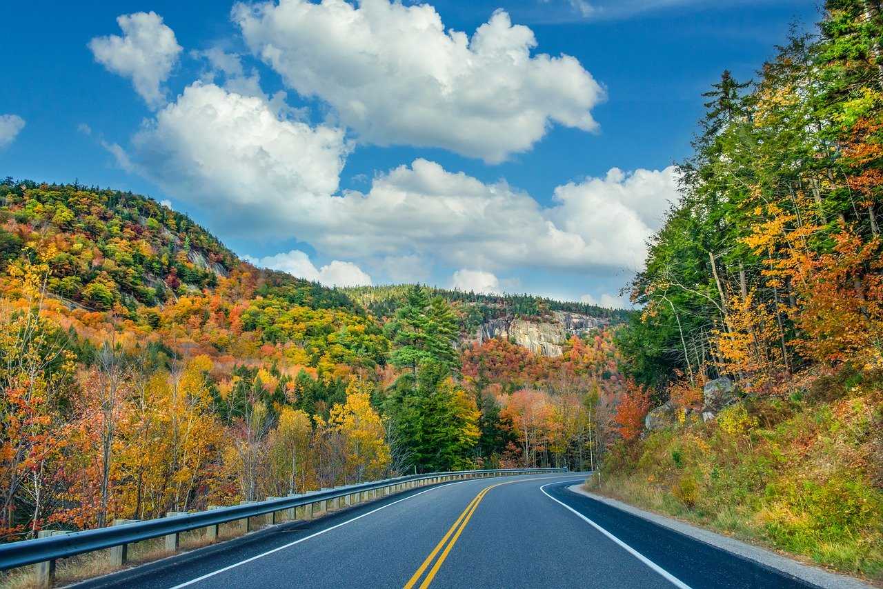 Природа, флора и фауна США — характеристика и фото