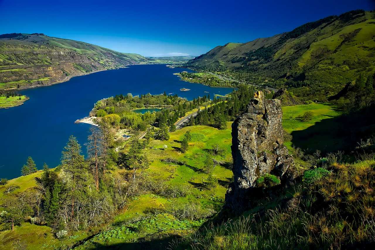 Природа, флора и фауна США — характеристика и фото