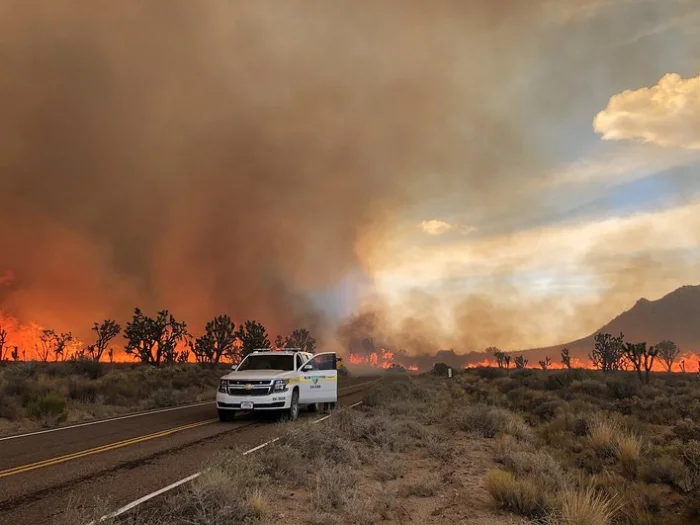 Dome Fire