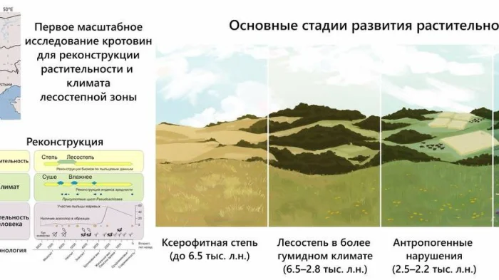 Графический экстракт